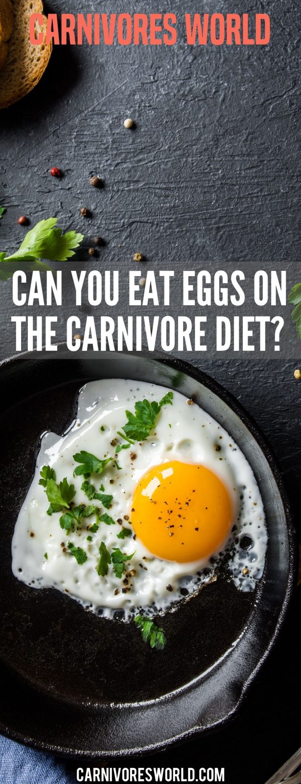 can you eat eggs on the carnivore diet