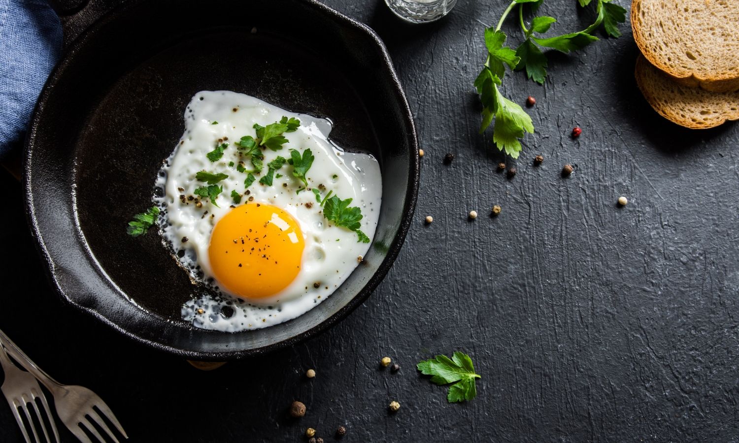 eggs and the carnivore diet