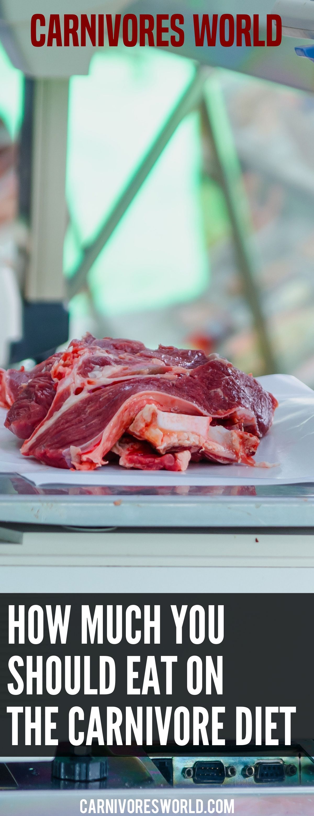 how much should you eat on the carnivore diet